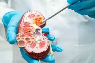 Nephrology With Dialysis